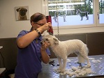 2012-09-19 13.35.56.jpg
